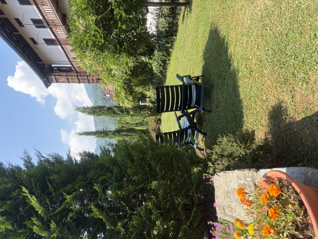Angolo relax nel giardino tra cipressi e glicine in fiore