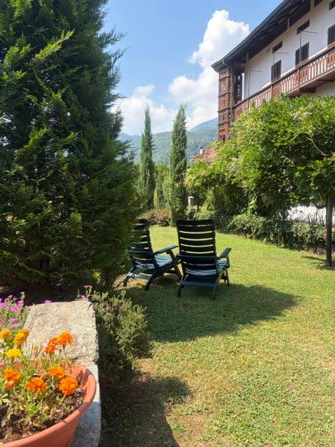 Angolo relax nel giardino tra cipressi e glicine in fiore